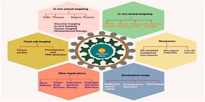 Frontiers | Quantum Dots: An Emerging Approach For Cancer Therapy